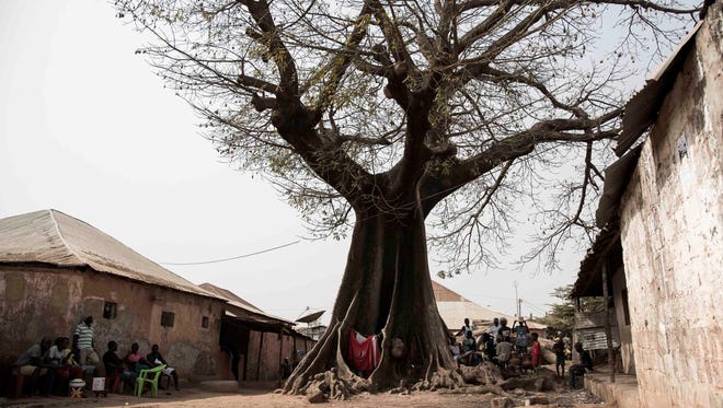 People shelter from the sun under a Baobab tree in the Mindara neighborhood in Bissau on Mardi Gras on February 13, 2018. Boabab trees Ñ an icon of the African continent and the heart of many traditional African remedies and folklore Ñ are dying across the continent, and scientists are trying to understand why.