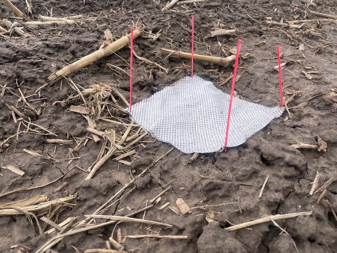 The physical impact of raindrops on unprotected soil causes the loosening of soil particles and can detach small soil particles that are then more easily transported in water. Researchers have explored low-tech and cost-effective demonstration options like fabric mats to evaluate soil dislodgement in farm fields.