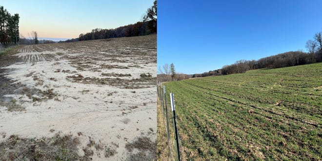 Last October, Chris Hardie plowed up a field that had been in hay and grass for many years, and planted a cover crop, left. Despite a 10-inch rainfall the following day, the rye seeding survived and is now springing to life in April.