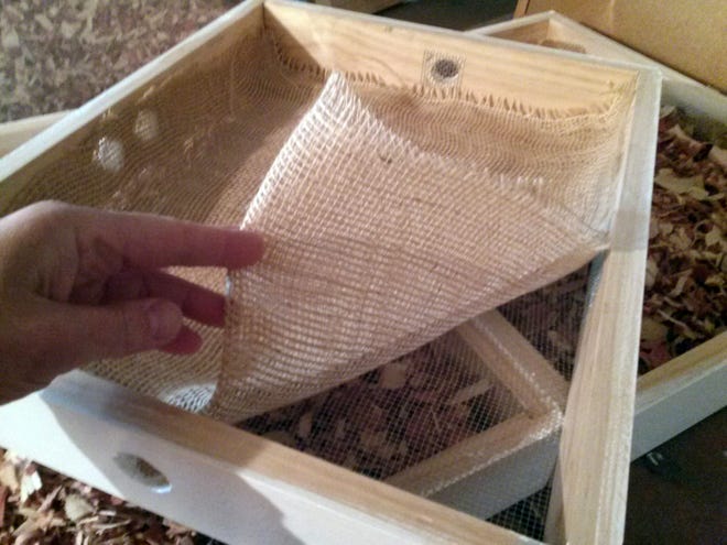 "Quilting boxes" with burlap, cedar chips and screened holes improve ventilation in the hive and reduce condensation in winter. Beekeeper Gemma Tarlach built these boxes herself.