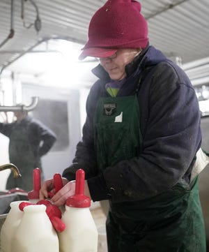 Owner Jenny Briggs prepares milk bottles to feed a few newborn calves Friday, Feb. 01, 2019, at Briggs Family Farm in the town of Frankfort, Wis. T'xer Zhon Kha/USA TODAY NETWORK-Wisconsin