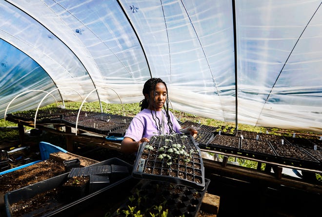 Jetia Porter, 17, readies planting containers for seeds on the Girls Inc. Youth Farm Friday, April 26, 2019 in Memphis, Tenn. Girls harvest every Friday; for produce sold every Saturday at the Farmers Market.