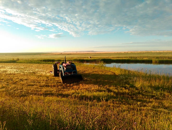 A tractor pauses along a pond developed on Conservation Grains farmland near Choteau, Minn. Grain from the farm, and sourced from other farms, is used in a craft milling venture.
