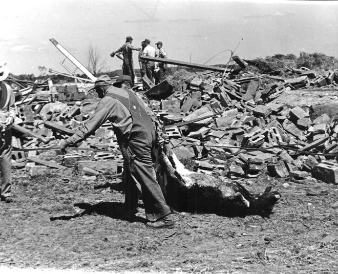 Barneveld was the first F5 tornado in Wisconsin since the Colfax tornado in 1958. 

The long hard job of cleaning up after the tornado in Colfax included moving dead animals, like this calf, from the wreckage of a barn on the James Schindler farm.