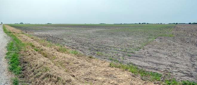 This June 3, 2019 photo shows a farm field southwest of Bondville, Ill., owned by Augusta Farms, a company based in Brazil. Foreign investors acquired at least 1.6 million acres of U.S. agricultural land in 2016, the largest increase in more than a decade by the latest available federal data. The data from the U.S. Department of Agriculture show that foreign investors control â€“ either through direct ownership or long-term leases â€“ at least 28.3 million acres, valued at $52.2 billion. That area is about the size of the state of Ohio.