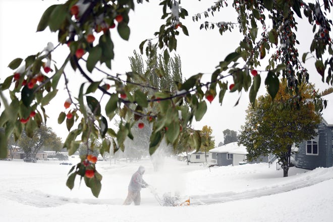 Crab apples still cling to the green leafed branches while Thomas Kok uses a snow blower to clear his driveway and sidewalks in front of his home, Friday, Oct. 11, 2019 in Bismarck, N.D.  North Dakota Gov. Doug Burgum on Friday activated the state's emergency plan due to what he called a crippling snowstorm that closed major highways and had farmers and ranchers bracing for the potential of huge crop and livestock losses.