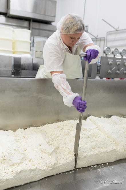 Cheesemaker Jennifer Kutz runs a knife through the whey in an open vat at LaClare Family Creamery. The cheese will then be packed into molds in the hard cheesemaking process.