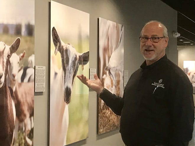 Bill Ritcey, vice president of sales, says the the availability of goat milk from local farms helps LaClare Family Creamery to meet customer demand for fresh goat cheese.