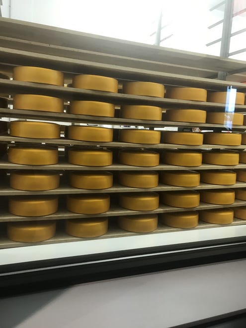 Cheese wheels are placed in a special room, called a "cave," that maintains the ideal temperature, humidity and lighting.