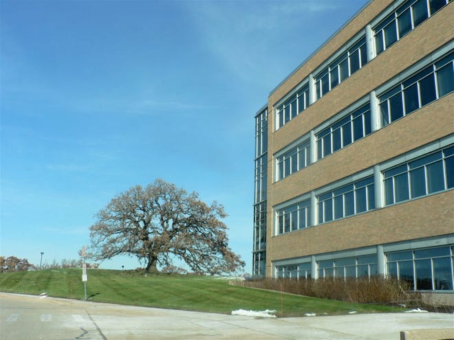 The headquarters of Wisconsin Department of Trade and Consumer Protection stands next to the Bill Graham tree.  The tree remaining (forever) was part of  the original agreement in which Graham sold the land to the state.