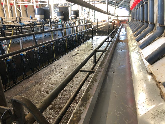 Extension professionals visited dairy operations involving dairy cattle, dairy sheep and water buffaloes.
