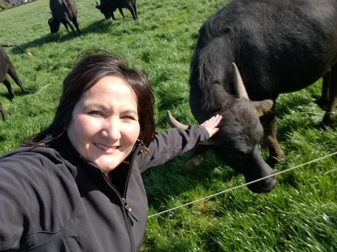 Tina Kohlman pets one of Macroom Buffalo farm's milking water buffaloes.