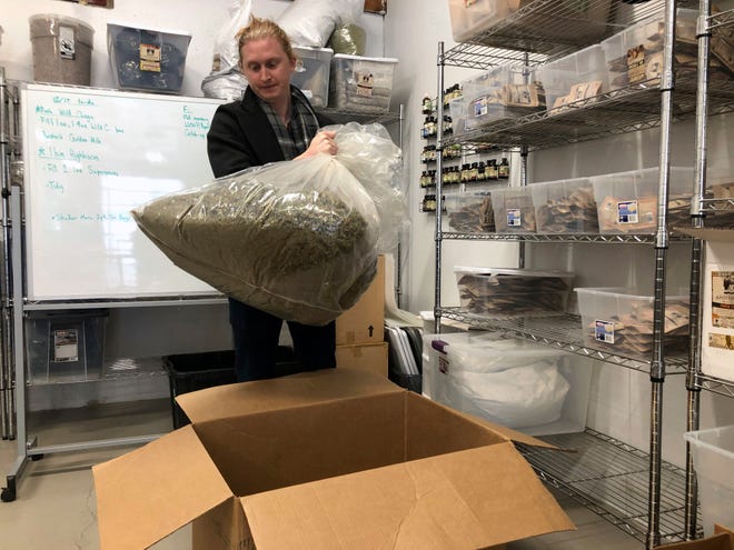 In this Dec. 17, 2019, photo, Jesse Richardson, co-founder of The Brothers Apothecary, which makes teas and capsules from hemp-derived CBD, inspects a bag of raw hemp at his company's warehouse in Portland, Ore. Richardson is concerned that interim hemp farming rules put out by the U.S. Department of Agriculture will destroy his supply chain of hemp and hurt the rapidly growing hemp industry.