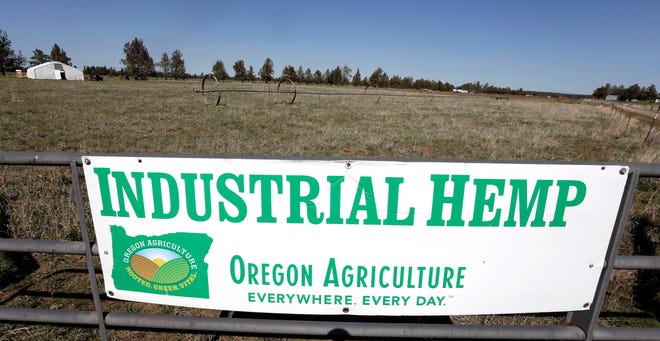 FILE - In this April 23, 2018, file photo, a sign designates the type of crop grown in a field as it stands ready to have another hemp crop planted for Big Top Farms near Sisters, Ore. Draft rules released by the U.S. Department of Agriculture for a new and booming agricultural hemp industry have alarmed farmers, processors and retailers across the country, who say the provisions will be crippling if they are not significantly overhauled before they become final.