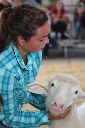 Youth and their families are finding ways to salvage a livestock show season that went off the tracks due to restrictions and cancelled fairs due to the coronavirus.