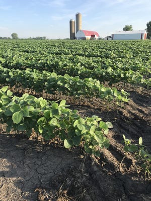 Spring 2021 has been a mixed scenario for crop producers in the Upper Midwest, as they have tried to get this year’s corn and soybean crop off to a good start.