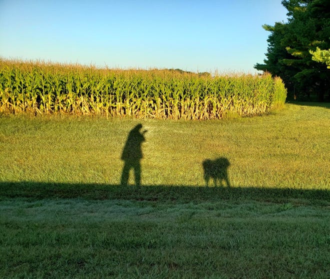 The rising sun casts shadows of Susan Manzke and her dog Sunny as they near the spot where a bear was sighted crossing the road near her home.
