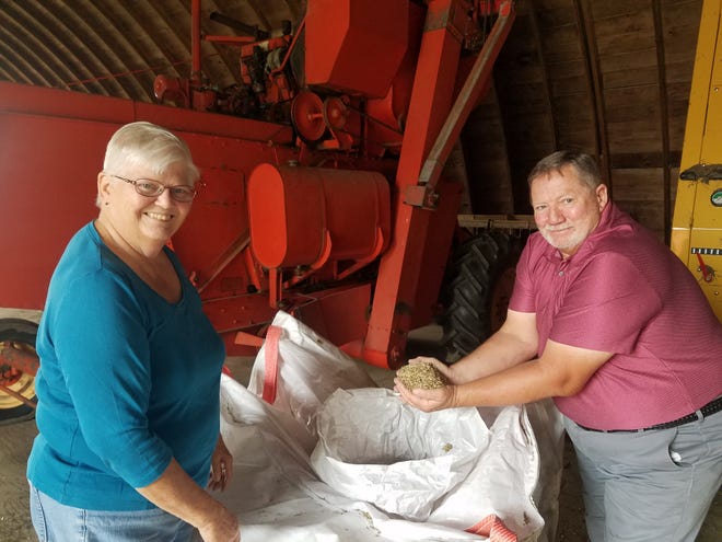 John and Dorothy Priske are innovative farmers who enjoy experimenting with new things, especially if it will contribute to the health of the soil.  Their most recent venture has been raising Kernza, a perennial grain with numerous benefits.