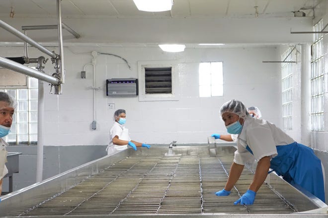 Workers at Decatur Dairy in Brodhead, Wis., handle cheese curds June 17, 2021.