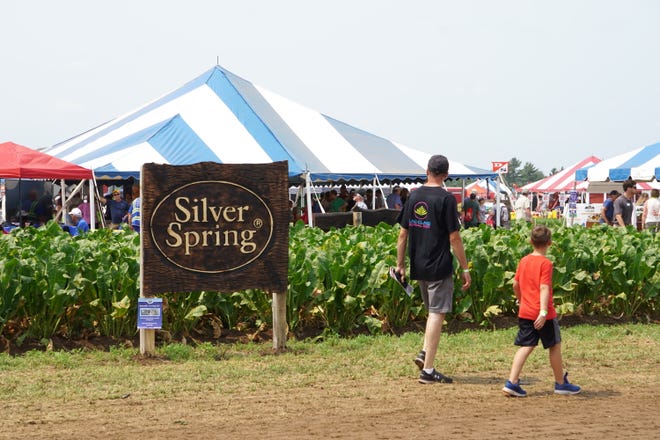 Silver Spring Foods is a subsidiary of Huntsinger Farms, the host of the 2021 Farm Technology Days in Eau Claire, Wis. They are the largest producer and processor of horseradish in the US.