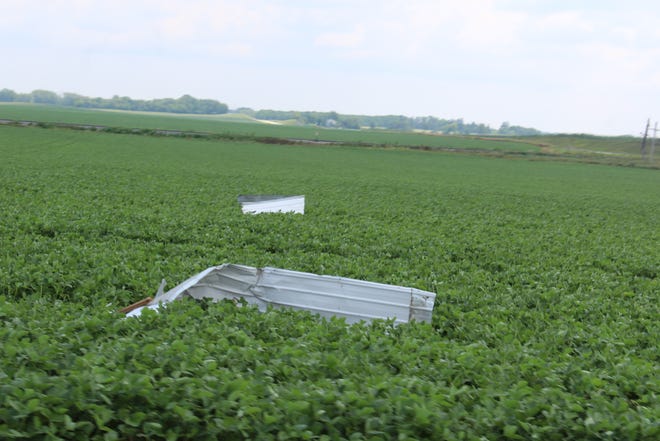 Sheet metal from a shed can be seen strewn around a soybean field southeast of Ripon.
