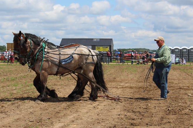 Draft horses put on a display during  Farm Technology Days in Clark County, July 12-14, 2022.
